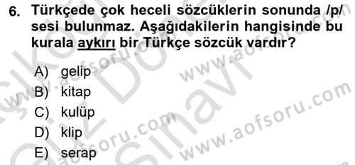 Türkçe Ses Bilgisi Dersi 2021 - 2022 Yılı (Final) Dönem Sonu Sınavı 6. Soru