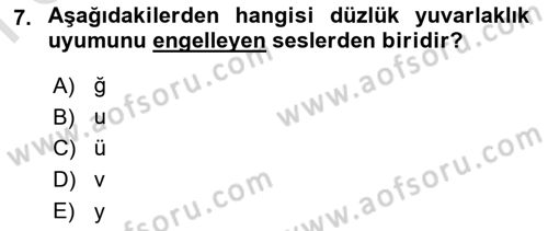 Türkçe Ses Bilgisi Dersi 2021 - 2022 Yılı (Final) Dönem Sonu Sınavı 7. Soru