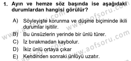 Türkçe Ses Bilgisi Dersi 2021 - 2022 Yılı Yaz Okulu Sınav Soruları 1. Soru