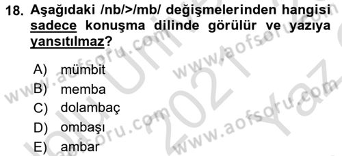 Türkçe Ses Bilgisi Dersi 2021 - 2022 Yılı Yaz Okulu Sınav Soruları 18. Soru