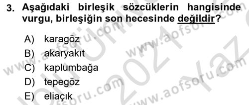 Türkçe Ses Bilgisi Dersi 2021 - 2022 Yılı Yaz Okulu Sınav Soruları 3. Soru