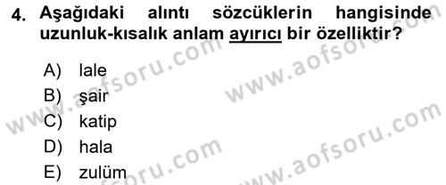 Türkçe Ses Bilgisi Dersi 2021 - 2022 Yılı Yaz Okulu Sınav Soruları 4. Soru