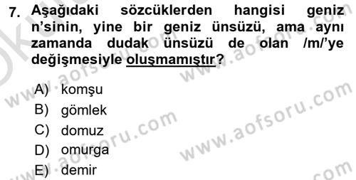 Türkçe Ses Bilgisi Dersi 2021 - 2022 Yılı Yaz Okulu Sınav Soruları 7. Soru