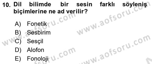 Türkçe Ses Bilgisi Dersi 2022 - 2023 Yılı (Vize) Ara Sınavı 10. Soru