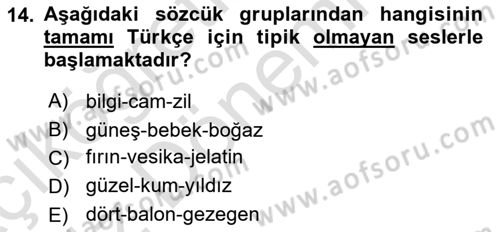 Türkçe Ses Bilgisi Dersi 2022 - 2023 Yılı (Vize) Ara Sınavı 14. Soru