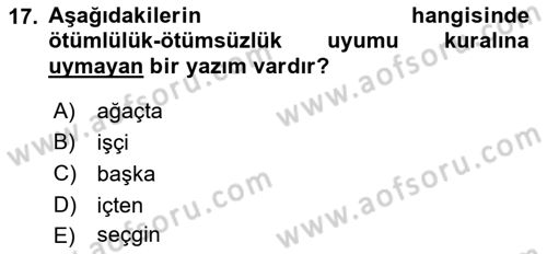 Türkçe Ses Bilgisi Dersi 2022 - 2023 Yılı (Vize) Ara Sınavı 17. Soru