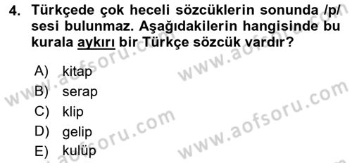 Türkçe Ses Bilgisi Dersi 2022 - 2023 Yılı (Vize) Ara Sınavı 4. Soru