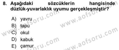 Türkçe Ses Bilgisi Dersi 2022 - 2023 Yılı (Vize) Ara Sınavı 8. Soru