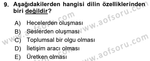 Türkçe Ses Bilgisi Dersi 2022 - 2023 Yılı (Vize) Ara Sınavı 9. Soru