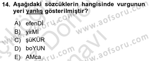 Türkçe Ses Bilgisi Dersi 2022 - 2023 Yılı (Final) Dönem Sonu Sınavı 14. Soru