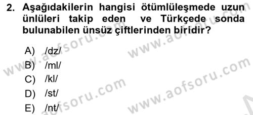 Türkçe Ses Bilgisi Dersi 2022 - 2023 Yılı (Final) Dönem Sonu Sınavı 2. Soru