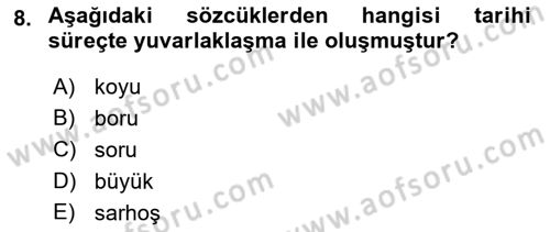 Türkçe Ses Bilgisi Dersi 2022 - 2023 Yılı (Final) Dönem Sonu Sınavı 8. Soru