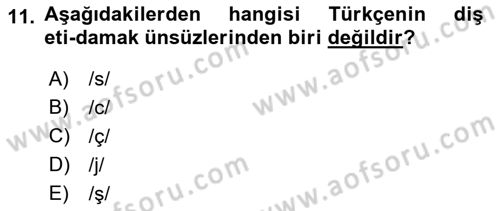 Türkçe Ses Bilgisi Dersi 2022 - 2023 Yılı Yaz Okulu Sınav Soruları 11. Soru