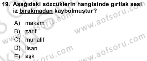 Türkçe Ses Bilgisi Dersi 2022 - 2023 Yılı Yaz Okulu Sınav Soruları 19. Soru