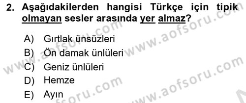 Türkçe Ses Bilgisi Dersi 2022 - 2023 Yılı Yaz Okulu Sınav Soruları 2. Soru