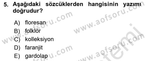 Türkçe Ses Bilgisi Dersi 2022 - 2023 Yılı Yaz Okulu Sınav Soruları 5. Soru