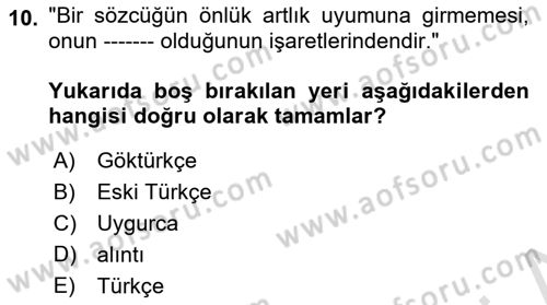 Türkçe Ses Bilgisi Dersi 2023 - 2024 Yılı (Vize) Ara Sınavı 10. Soru