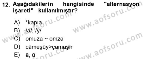 Türkçe Ses Bilgisi Dersi 2023 - 2024 Yılı (Vize) Ara Sınavı 12. Soru