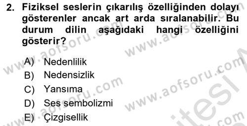 Türkçe Ses Bilgisi Dersi 2023 - 2024 Yılı (Vize) Ara Sınavı 2. Soru