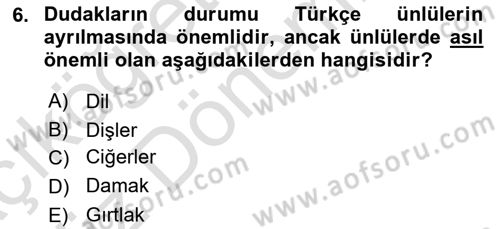 Türkçe Ses Bilgisi Dersi 2023 - 2024 Yılı (Vize) Ara Sınav Soruları 6. Soru