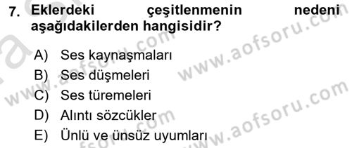 Türkçe Ses Bilgisi Dersi 2023 - 2024 Yılı (Vize) Ara Sınavı 7. Soru