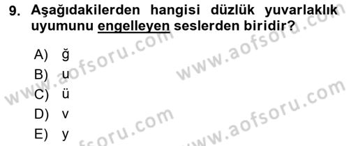 Türkçe Ses Bilgisi Dersi 2023 - 2024 Yılı (Vize) Ara Sınavı 9. Soru