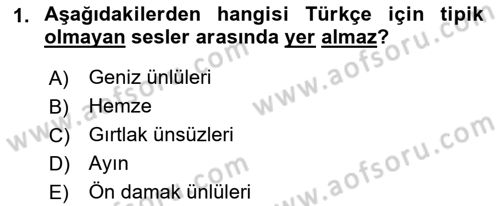 Türkçe Ses Bilgisi Dersi 2023 - 2024 Yılı (Final) Dönem Sonu Sınavı 1. Soru