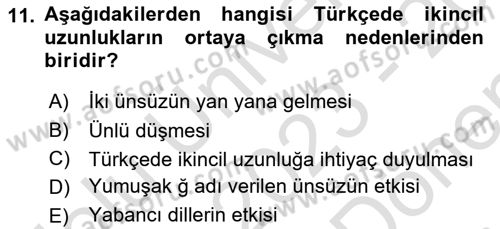 Türkçe Ses Bilgisi Dersi 2023 - 2024 Yılı (Final) Dönem Sonu Sınavı 11. Soru