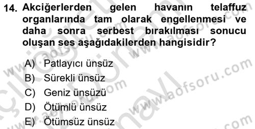 Türkçe Ses Bilgisi Dersi 2023 - 2024 Yılı (Final) Dönem Sonu Sınavı 14. Soru