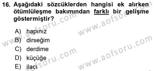Türkçe Ses Bilgisi Dersi 2023 - 2024 Yılı (Final) Dönem Sonu Sınav Soruları 16. Soru