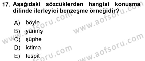 Türkçe Ses Bilgisi Dersi 2023 - 2024 Yılı (Final) Dönem Sonu Sınavı 17. Soru