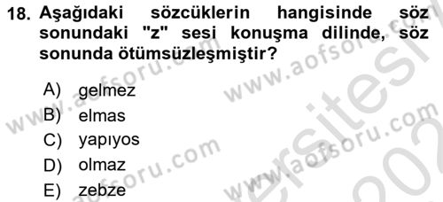 Türkçe Ses Bilgisi Dersi 2023 - 2024 Yılı (Final) Dönem Sonu Sınavı 18. Soru