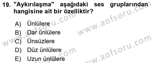 Türkçe Ses Bilgisi Dersi 2023 - 2024 Yılı (Final) Dönem Sonu Sınavı 19. Soru