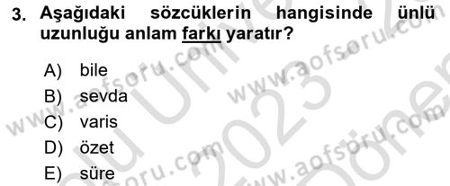 Türkçe Ses Bilgisi Dersi 2023 - 2024 Yılı (Final) Dönem Sonu Sınavı 3. Soru