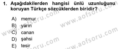 Türkçe Ses Bilgisi Dersi 2023 - 2024 Yılı Yaz Okulu Sınav Soruları 1. Soru