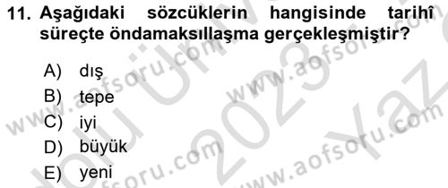 Türkçe Ses Bilgisi Dersi 2023 - 2024 Yılı Yaz Okulu Sınav Soruları 11. Soru