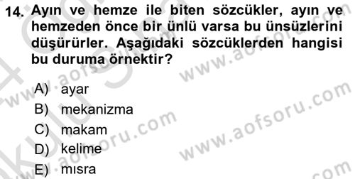 Türkçe Ses Bilgisi Dersi 2023 - 2024 Yılı Yaz Okulu Sınav Soruları 14. Soru