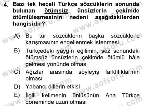 Türkçe Ses Bilgisi Dersi 2023 - 2024 Yılı Yaz Okulu Sınav Soruları 4. Soru