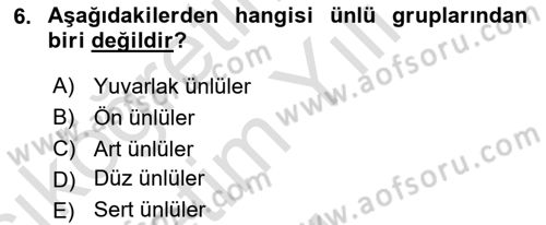 Türkçe Ses Bilgisi Dersi 2023 - 2024 Yılı Yaz Okulu Sınav Soruları 6. Soru