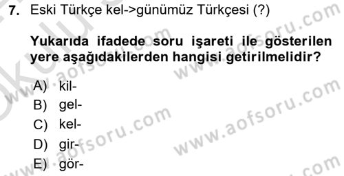 Türkçe Ses Bilgisi Dersi 2023 - 2024 Yılı Yaz Okulu Sınav Soruları 7. Soru