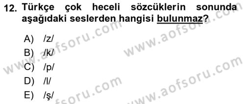 Türkçe Ses Bilgisi Dersi 2024 - 2025 Yılı (Vize) Ara Sınav Soruları 12. Soru
