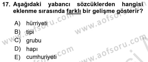 Türkçe Ses Bilgisi Dersi 2024 - 2025 Yılı (Vize) Ara Sınav Soruları 17. Soru