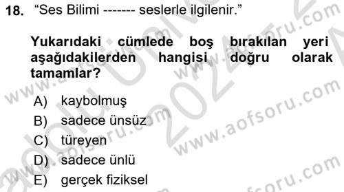 Türkçe Ses Bilgisi Dersi 2024 - 2025 Yılı (Vize) Ara Sınav Soruları 18. Soru