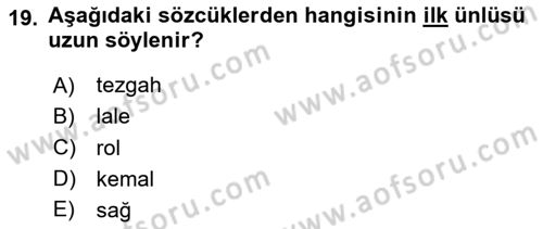 Türkçe Ses Bilgisi Dersi 2024 - 2025 Yılı (Vize) Ara Sınav Soruları 19. Soru