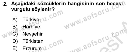 Türkçe Ses Bilgisi Dersi 2024 - 2025 Yılı (Vize) Ara Sınav Soruları 2. Soru