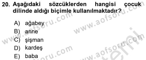 Türkçe Ses Bilgisi Dersi 2024 - 2025 Yılı (Vize) Ara Sınav Soruları 20. Soru