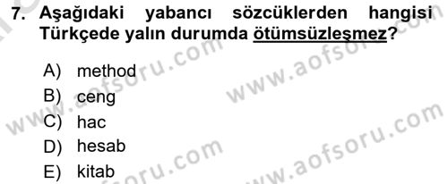 Türkçe Ses Bilgisi Dersi 2024 - 2025 Yılı (Vize) Ara Sınav Soruları 7. Soru