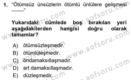 Türkçe Ses Bilgisi Dersi 2024 - 2025 Yılı (Final) Dönem Sonu Sınav Soruları 1. Soru