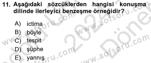 Türkçe Ses Bilgisi Dersi 2024 - 2025 Yılı (Final) Dönem Sonu Sınav Soruları 11. Soru