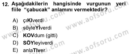 Türkçe Ses Bilgisi Dersi 2024 - 2025 Yılı (Final) Dönem Sonu Sınav Soruları 12. Soru